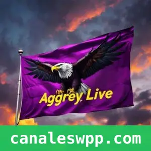 Aggrey live
