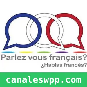 Aprender Francés 🇫🇷