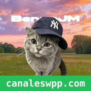 BennoJM