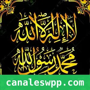 daily Quran and Hadith