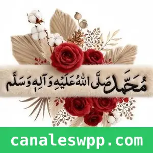 د زړونو پیغامونه ❤️|داحساساتو نړۍ 🌹