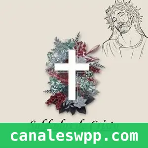 Guerreros de Cristo🧎🏽