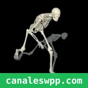 😎 La calaca SA ☠️