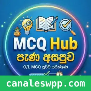 Mcq hub