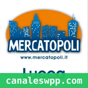 Meecatopoli Lucca