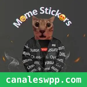 Meme Stickers 