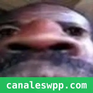 Memes XD