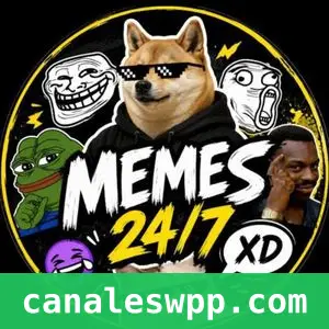 MEMES Y FRASES 😂🤣