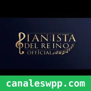 Musica y más 