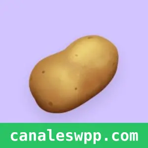 PATATAS COMMUNITY (Queer)