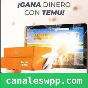 Recompensas temu