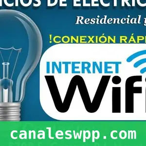 Sophia's Toys Servicio de Luz e Internet