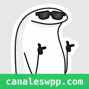 Stiker & Frases & Meme