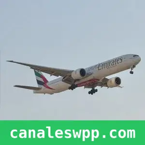 The plane spotters